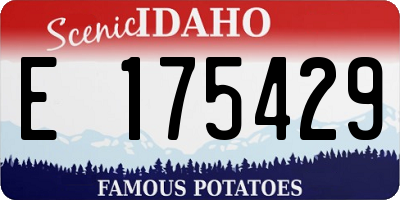 ID license plate E175429