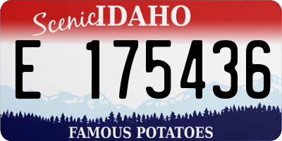 ID license plate E175436