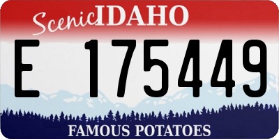 ID license plate E175449