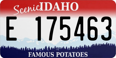 ID license plate E175463