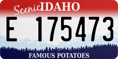 ID license plate E175473