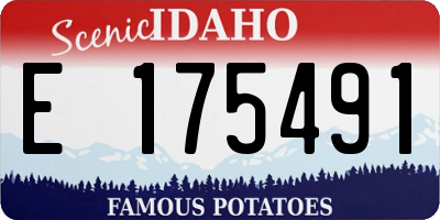 ID license plate E175491