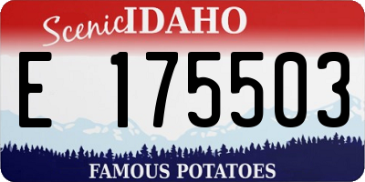 ID license plate E175503