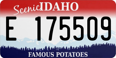 ID license plate E175509