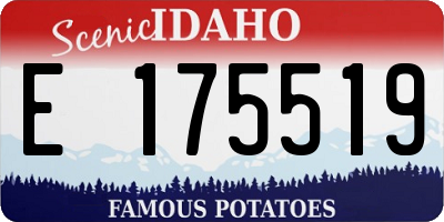 ID license plate E175519