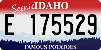 ID license plate E175529