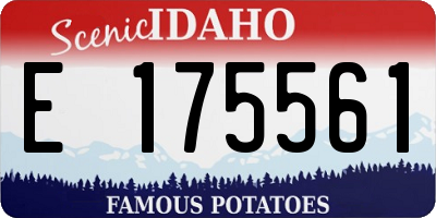 ID license plate E175561
