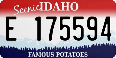 ID license plate E175594