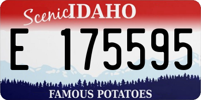 ID license plate E175595