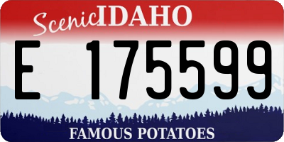 ID license plate E175599