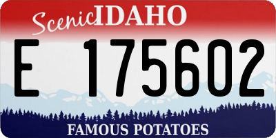 ID license plate E175602