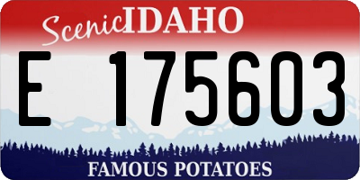 ID license plate E175603
