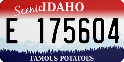 ID license plate E175604