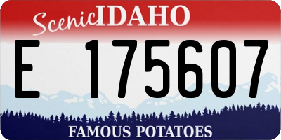 ID license plate E175607