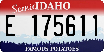 ID license plate E175611