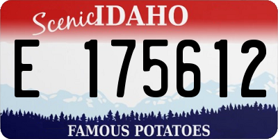 ID license plate E175612