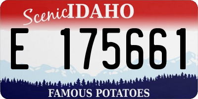 ID license plate E175661