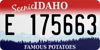 ID license plate E175663