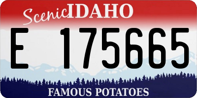 ID license plate E175665