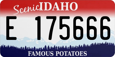 ID license plate E175666
