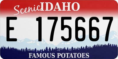 ID license plate E175667