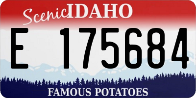 ID license plate E175684
