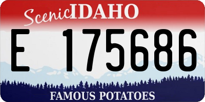ID license plate E175686