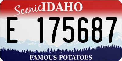 ID license plate E175687