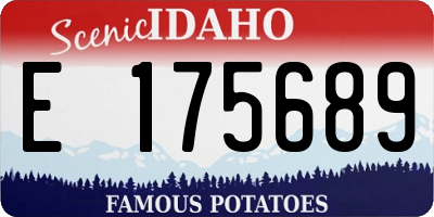 ID license plate E175689