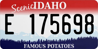 ID license plate E175698