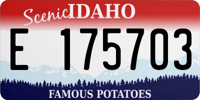 ID license plate E175703