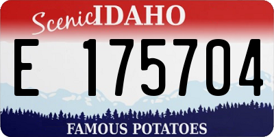 ID license plate E175704
