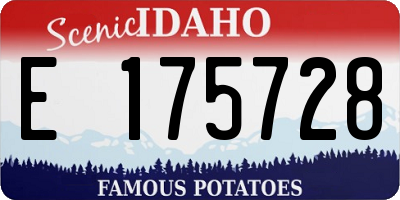 ID license plate E175728
