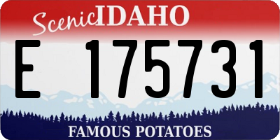 ID license plate E175731