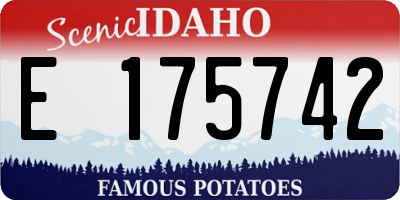 ID license plate E175742