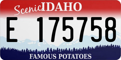 ID license plate E175758