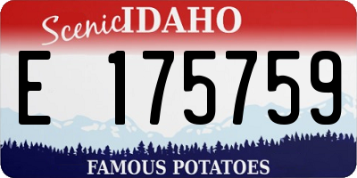 ID license plate E175759