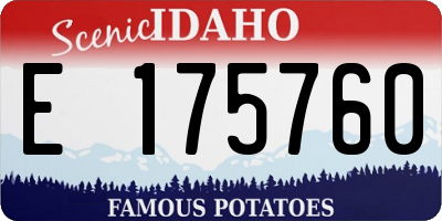 ID license plate E175760