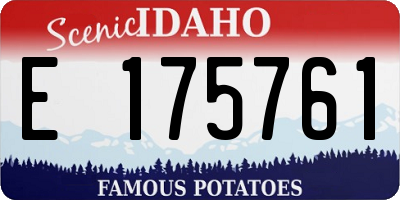 ID license plate E175761