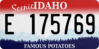 ID license plate E175769