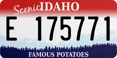 ID license plate E175771