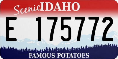 ID license plate E175772
