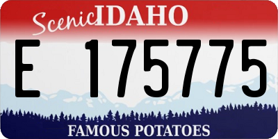 ID license plate E175775