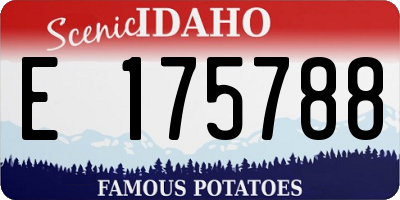 ID license plate E175788