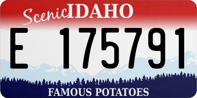 ID license plate E175791