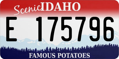 ID license plate E175796