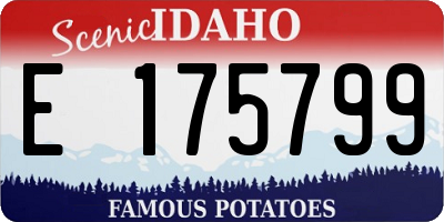 ID license plate E175799