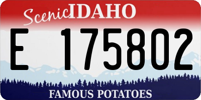 ID license plate E175802
