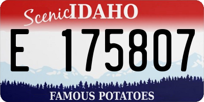 ID license plate E175807
