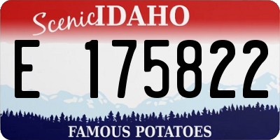 ID license plate E175822